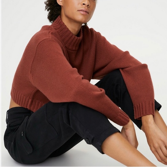 Aritzia Mika Modern Cargo Pant - Picture 2 of 5